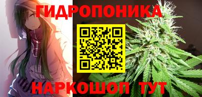 прущие крисы Тверь