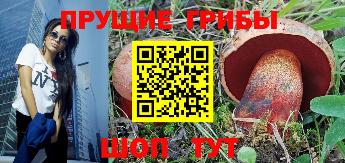Выборг  Галлюциногенные грибы Psilocybine cubensis  Вход с VPN 